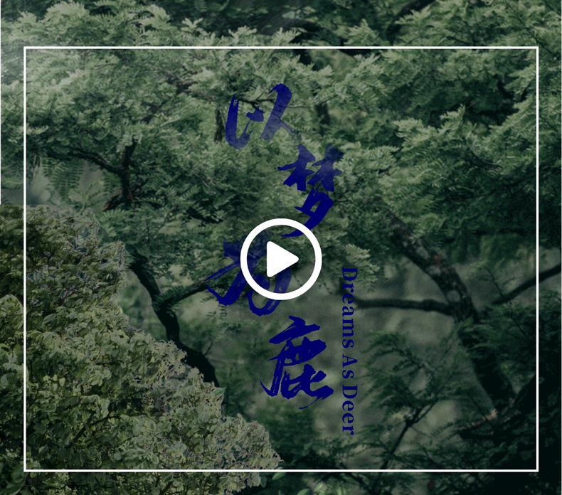 林间鹿纯棉四季绒套件 | 以梦为鹿，探寻温暖的秘密。